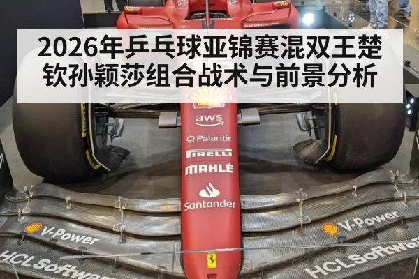 2026年乒乓球亚锦赛混双王楚钦孙颖莎组合战术与前景分析